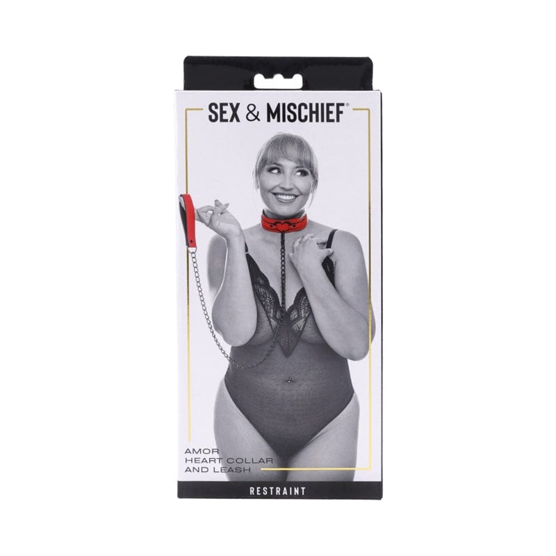 BONDAGE, FETISH & KINK SS S&M Amor Collar and Leash