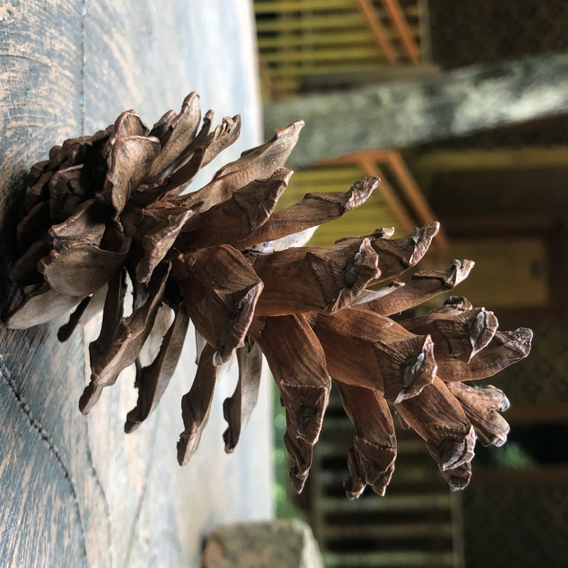 Furniture Surface Materials: Texture, Care and Cleaning Questions
