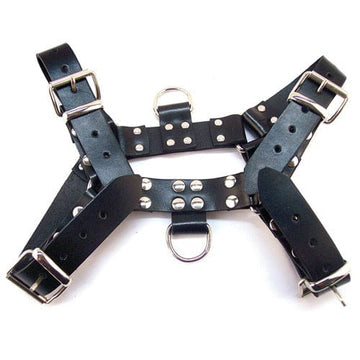 DILDOS — Strap-Ons & Harnesses