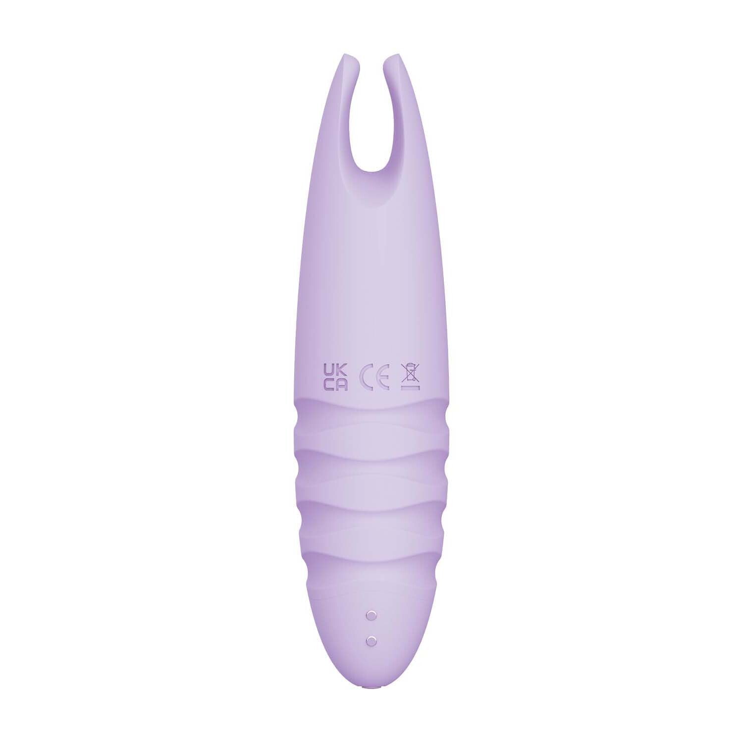 Sorbet purple passion lavender