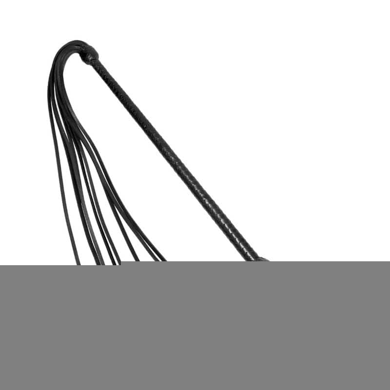 BONDAGE, FETISH & KINK Prowler RED Long Handled Whip