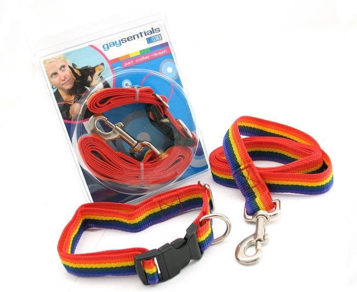 Bondage, Fetish & Kink (WD) PET SET LARGE