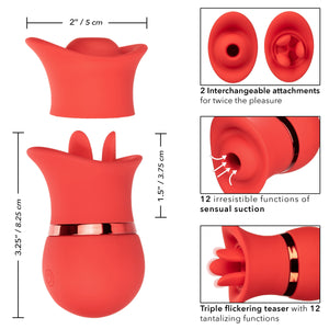 Clitoral Pumps French Kiss Suck and Play Interchangeable Set