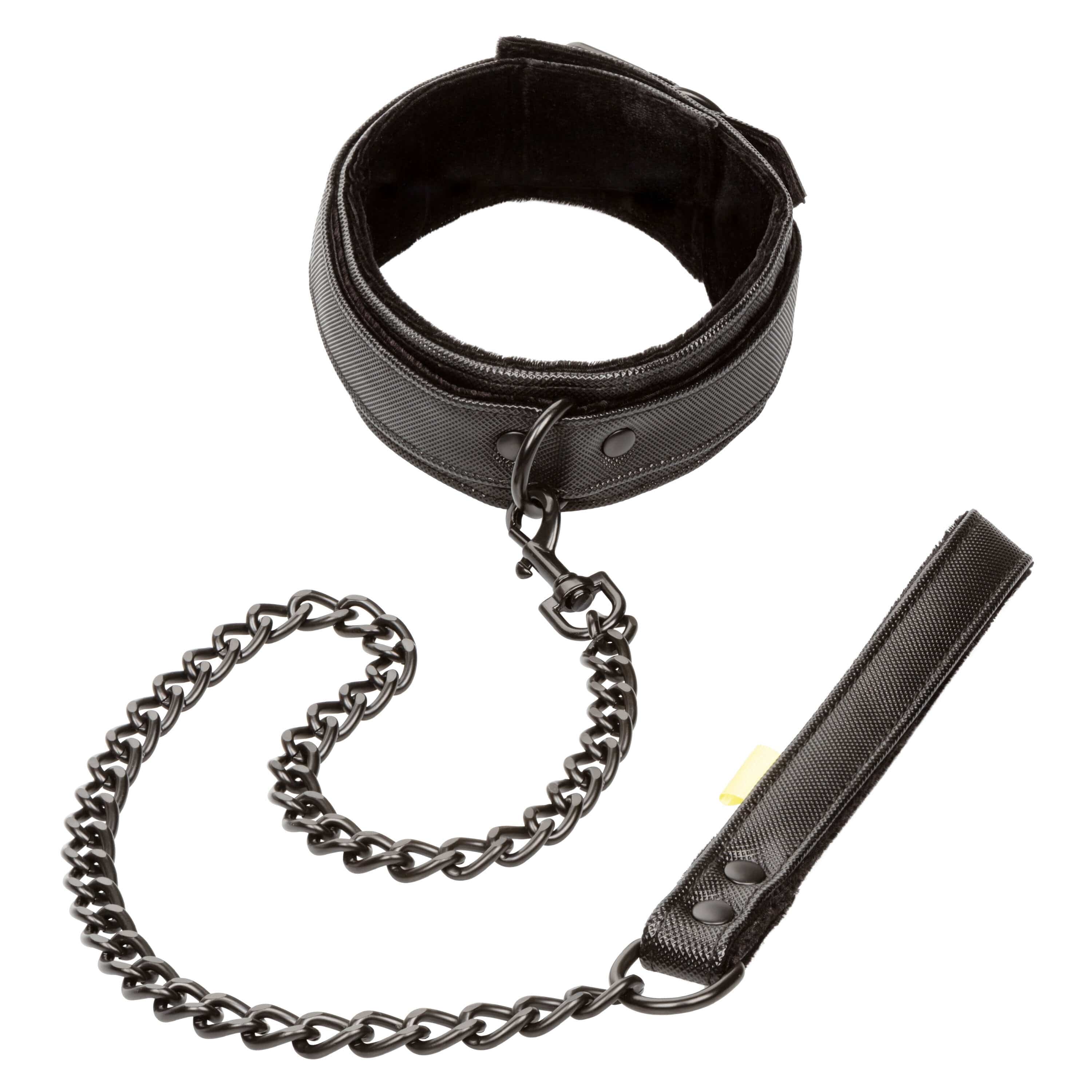 Collars Boundless Collar & Leash