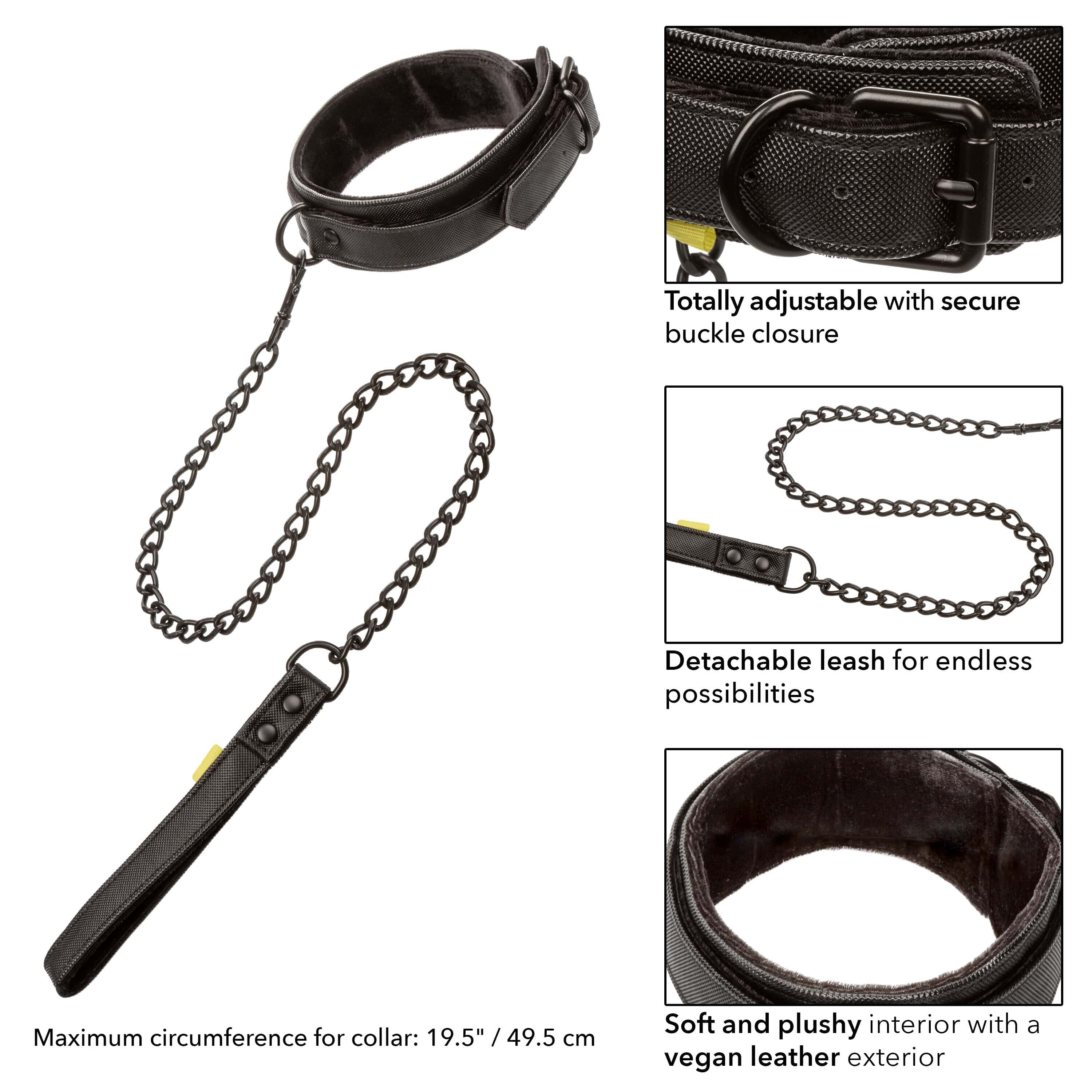 Collars Boundless Collar & Leash