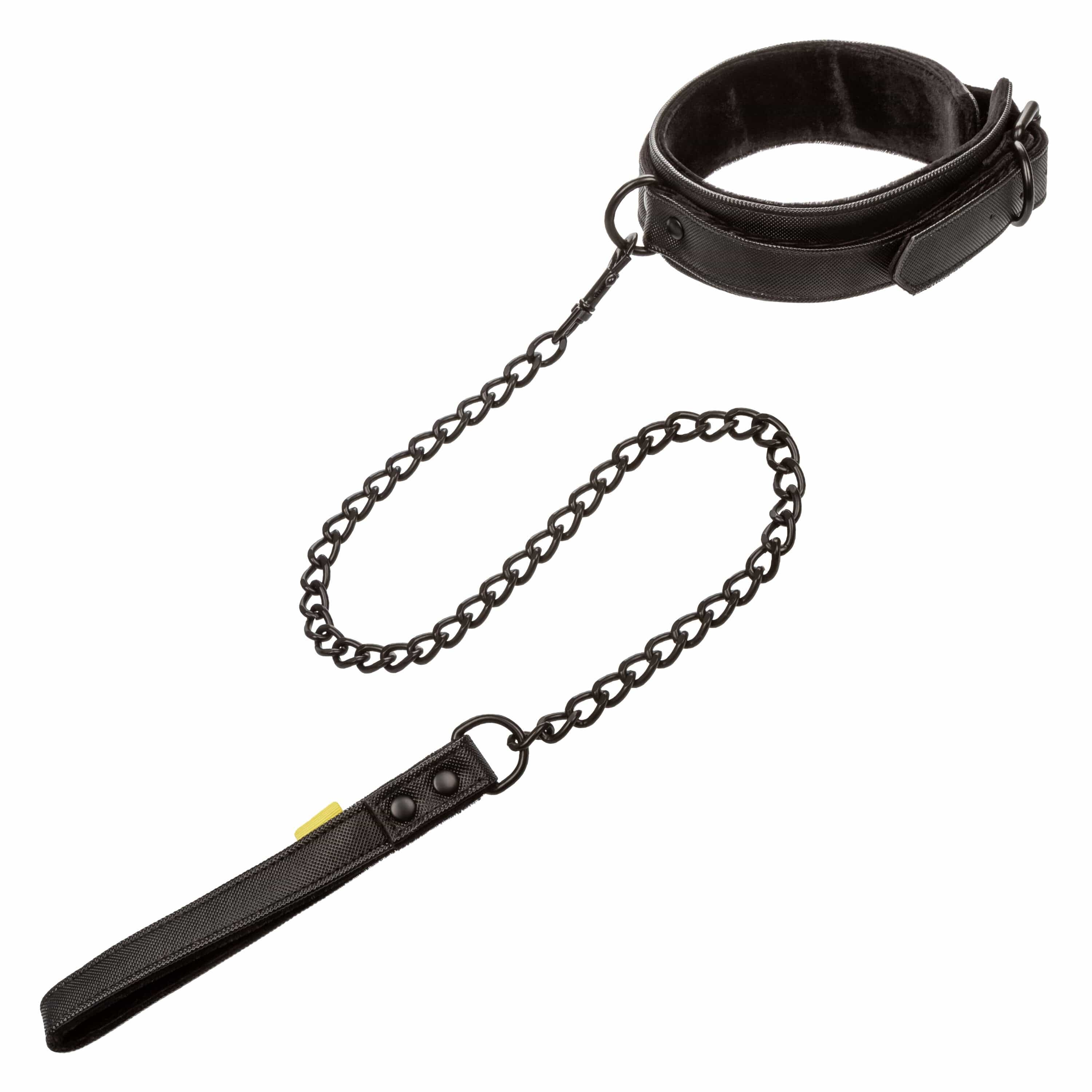 Collars Boundless Collar & Leash