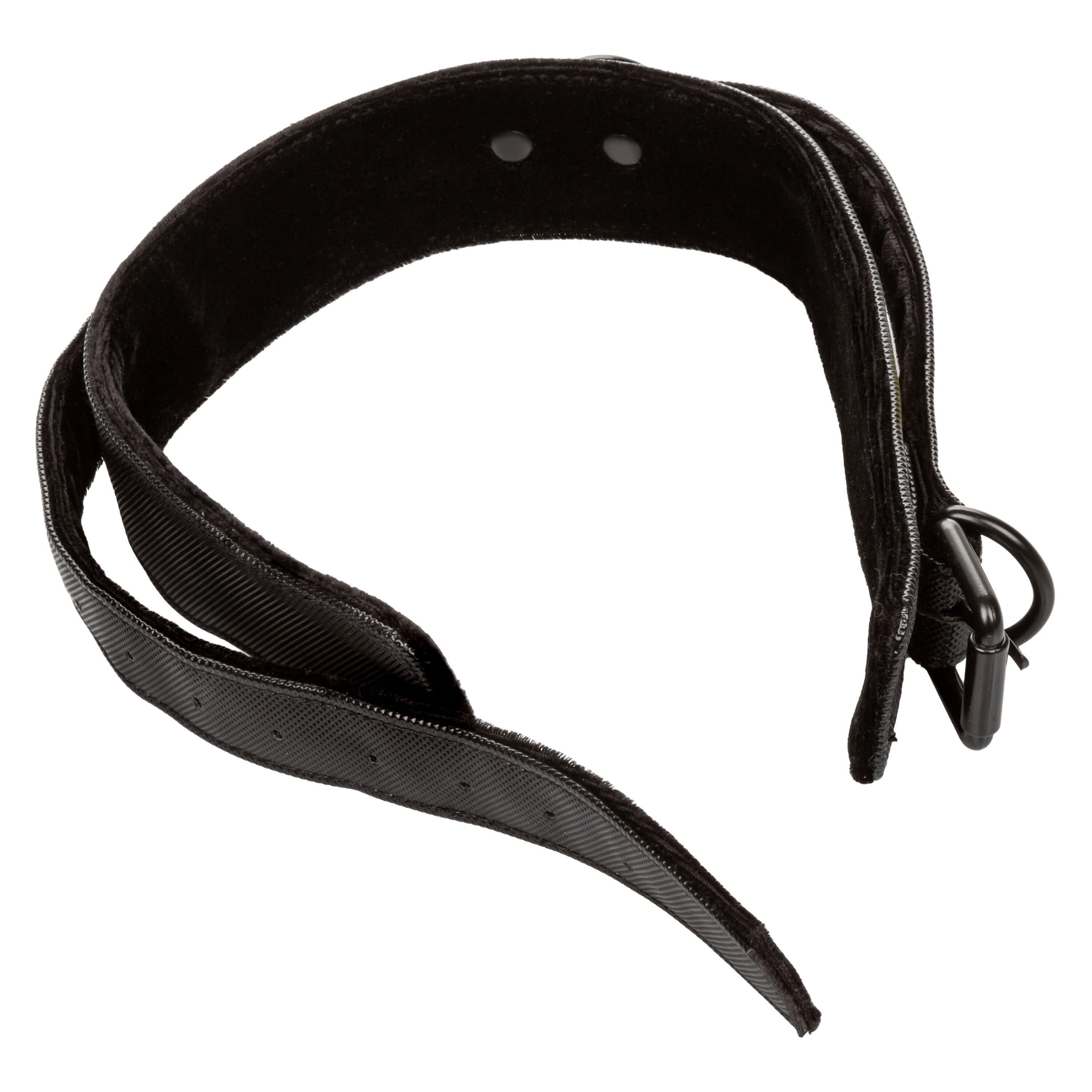 Collars Boundless Collar & Leash