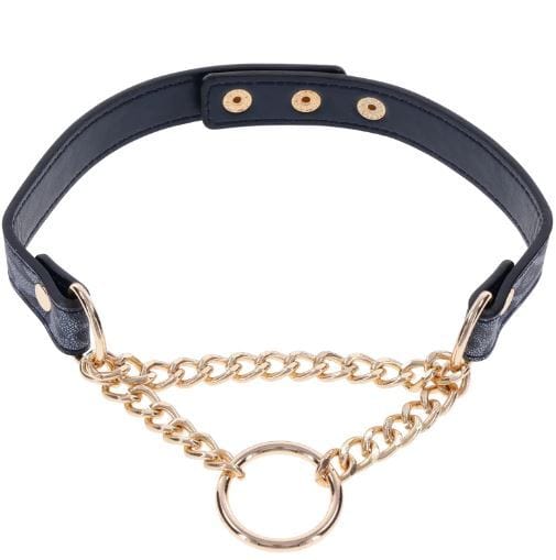 Collars & Leashes COUGAR DAY COLLAR