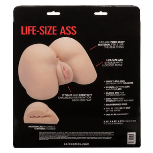 Combo Masturbators Stroke It Life-Size Ass - Ivory
