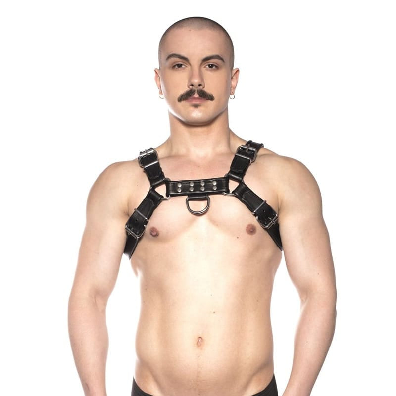 Harnesses Prowler RED Bull Harness Black S