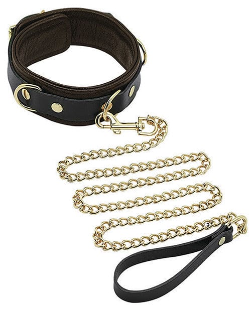 Leashes Spartacus Collar & Leash - Brown Leather w/Gold Accent Hardware