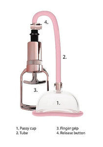 Sextoys for Couples Pumped pussy pump rose gold