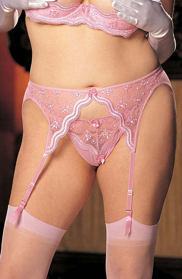Suspender Belts Shirley of Hollywood X622 Pink Garter Belt