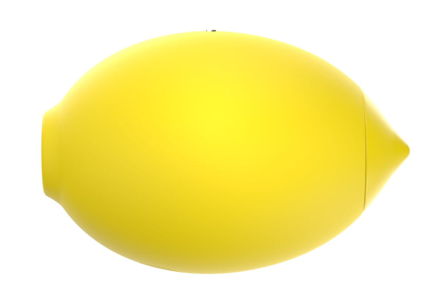 Vibrators Lemonaire suction